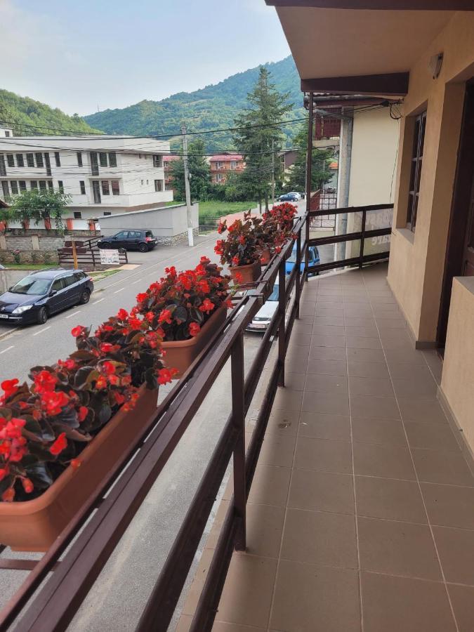 Вілла Casa Basu Беїле-Херкулане Екстер'єр фото
